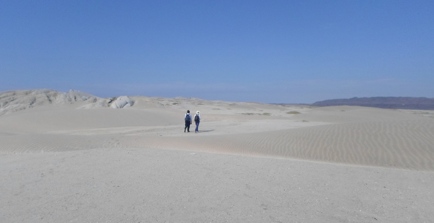 Sechura Desert
