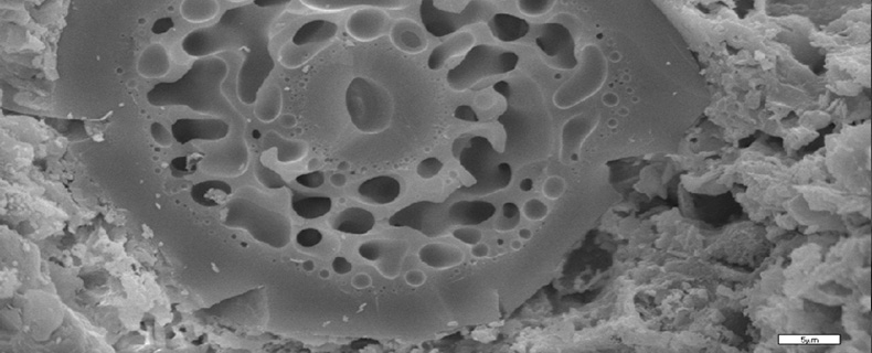 SEM micrograph of an ancient ceramic fresh fracture